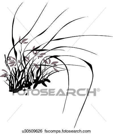 398x470 Stock Illustration Of Plants, Art, Plant, Orchid, Korea, Flower