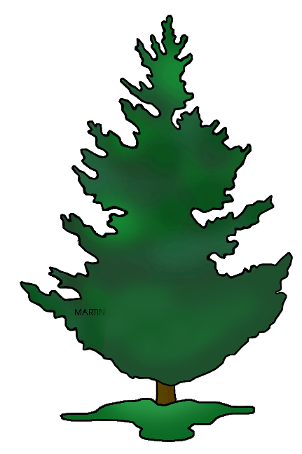 431x648 United States Clip Art By Phillip Martin, State Tree Of Oregon