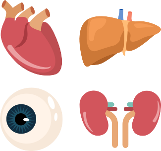 325x304 Live On I Support Organ Donation