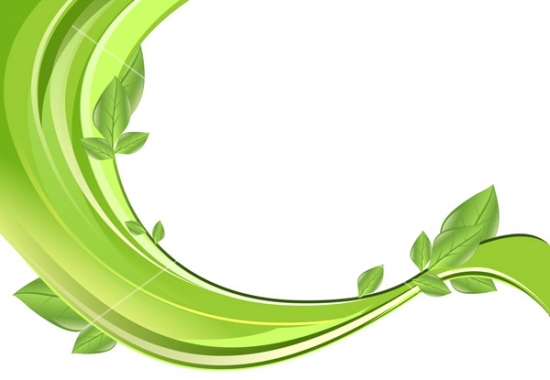 550x380 Floral Ornaments