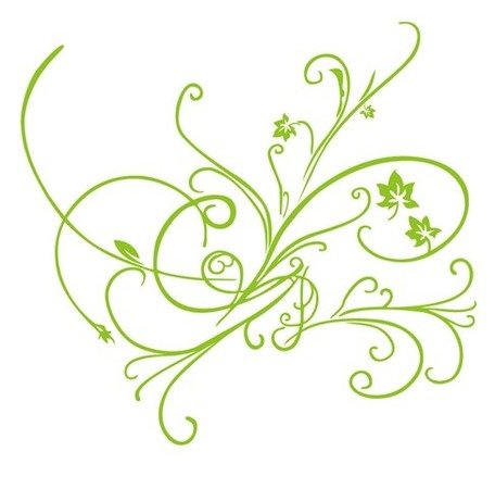 456x450 Green Vector Floral Ornament, Vector File