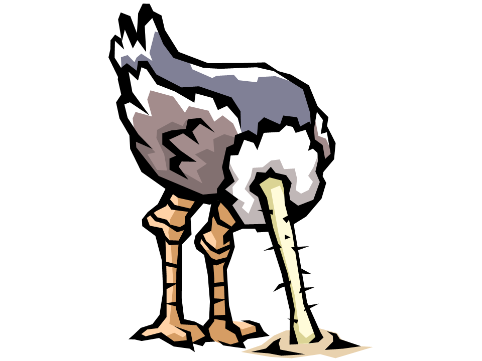 960x720 Laufuhr Test Images Clip Art Ostrich