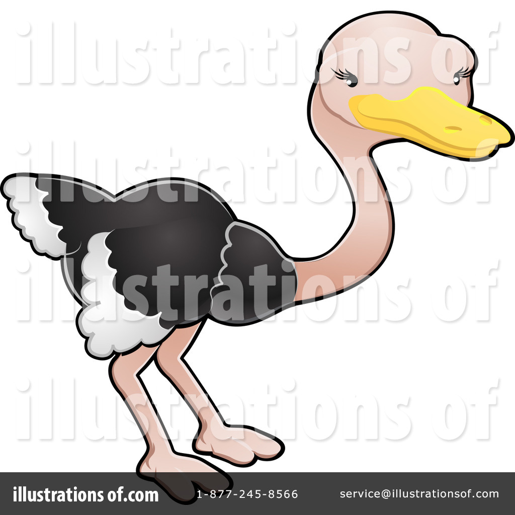 1024x1024 Ostrich Clipart