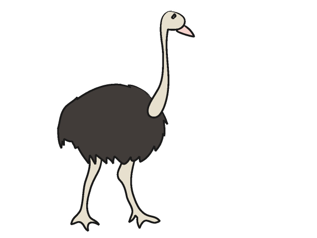 640x480 Ostrich Clipart