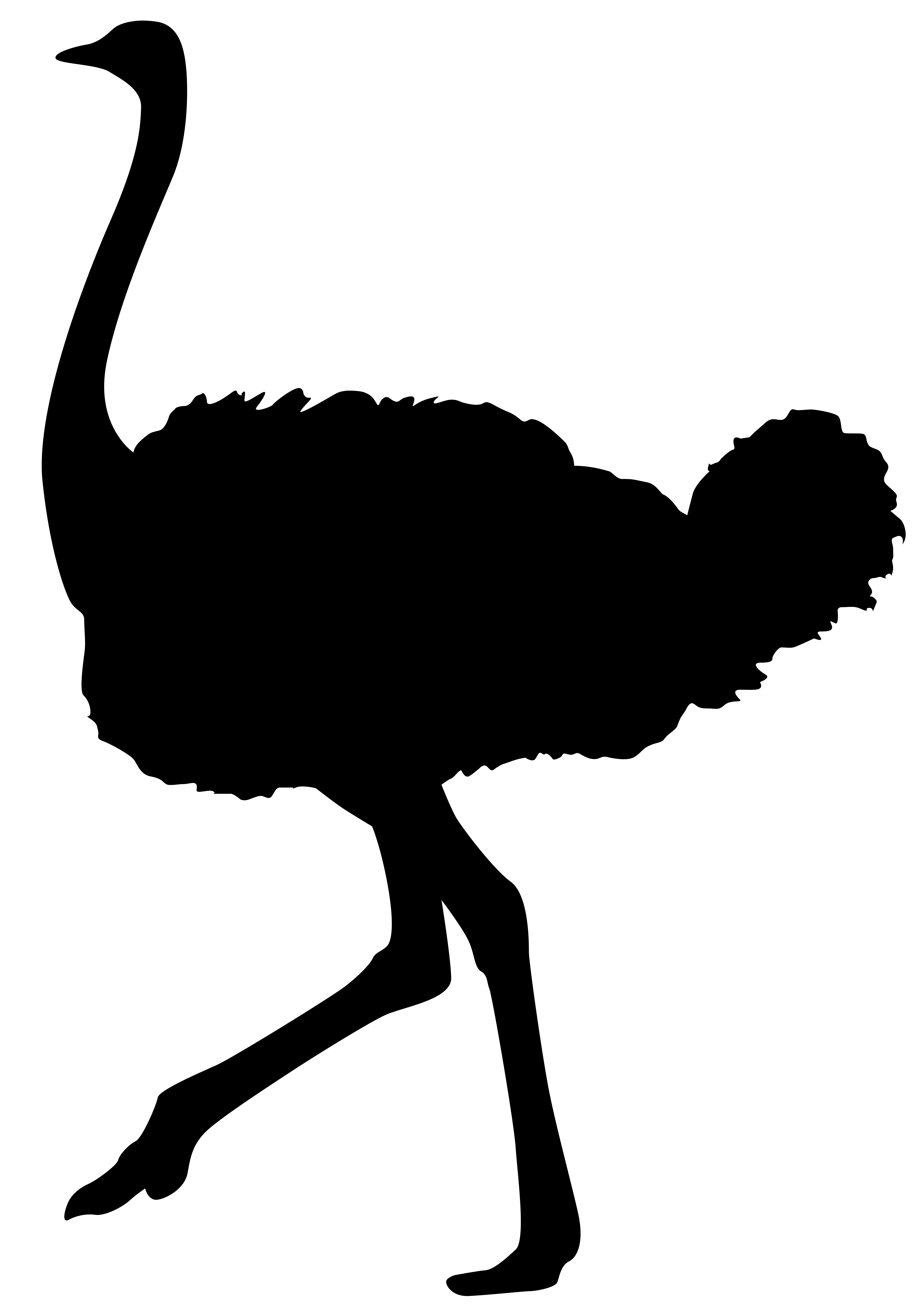 5629x8000 Ostrich Silhouette Png Transparent Clip Art Imageu200b Gallery