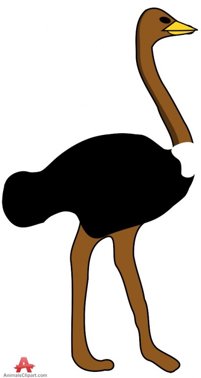 400x750 Ostrich Clipart Bird