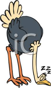 175x300 Sleeping Ostrich Clip Art Image