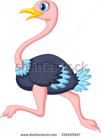 344x470 Top 92 Ostrich Clipart