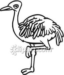 254x300 And White Ostrich On One Leg