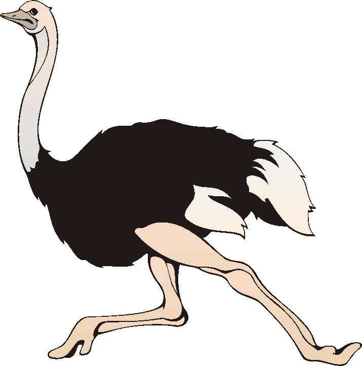 715x722 Ostrich Clipart Clipart Panda