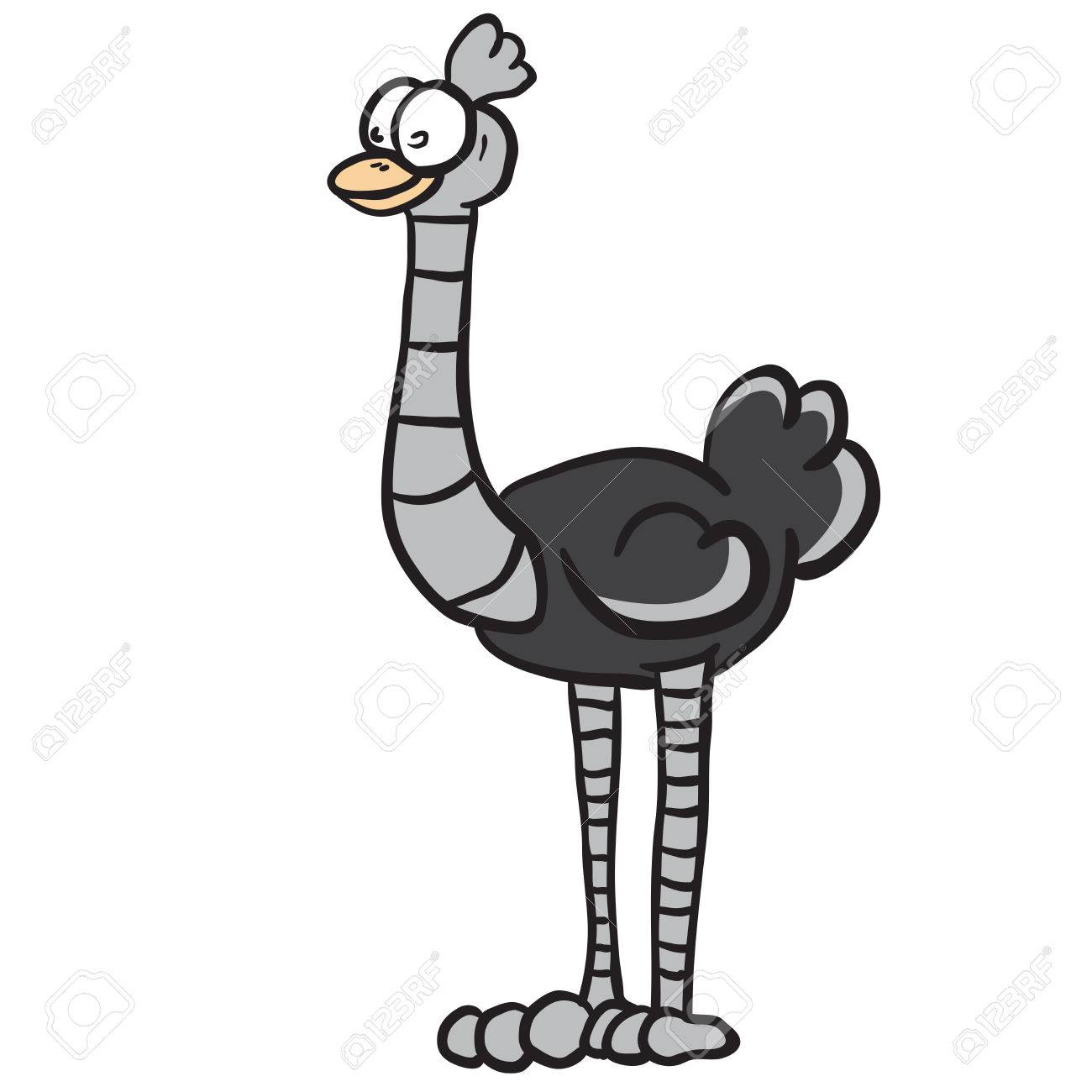 1300x1300 Ostrich Cartoon Royalty Free Cliparts, Vectors, And Stock