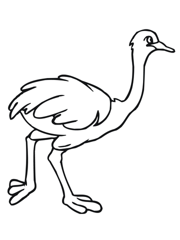 360x480 Ostrich Black And White Clip Art