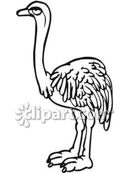 263x350 Ostrich Clipart Two
