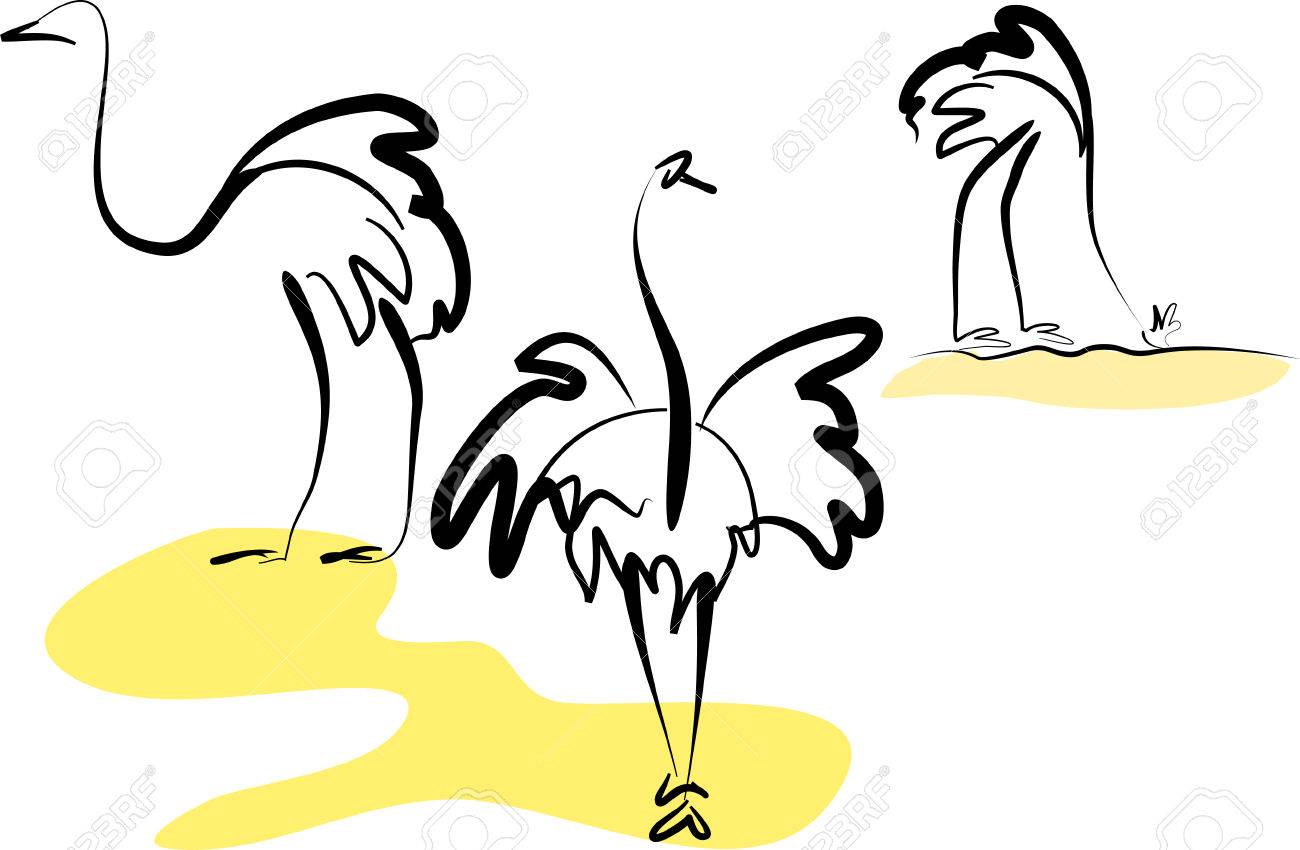 1300x850 Ostriches Royalty Free Cliparts, Vectors, And Stock Illustration