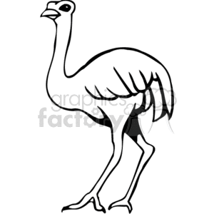 300x300 Royalty Free Black And With Silhouette Of An Ostrich 130515 Vector