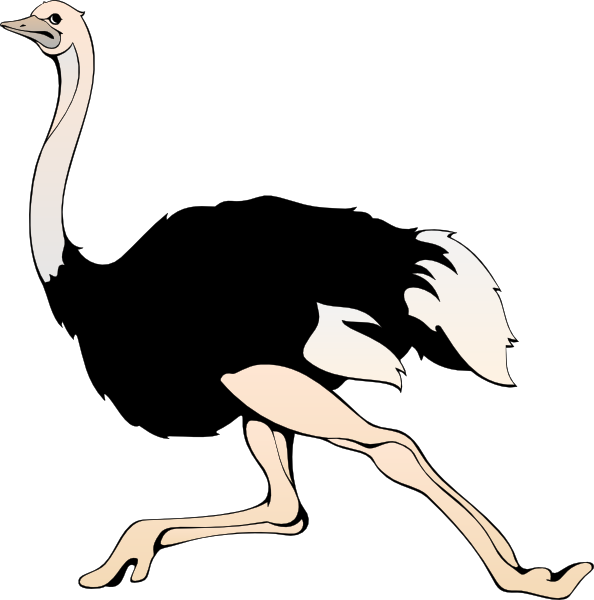 594x600 Running Ostrich Clip Art