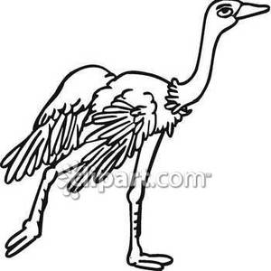 300x300 Running Ostrich Clipart