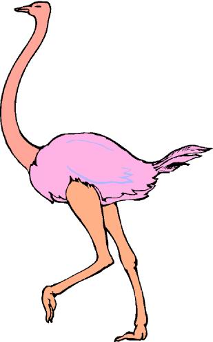 309x497 Top 83 Ostrich Clip Art