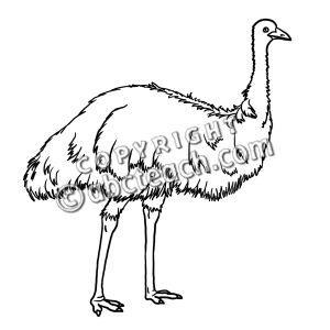 300x300 Top 91 Emu Clip Art
