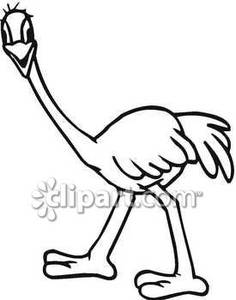236x300 And White Ostrich Smiling