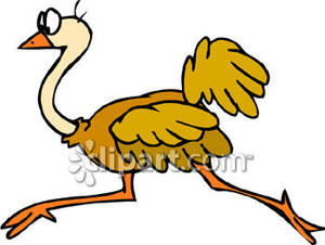 300x226 Cartoon Ostrich