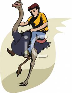 232x300 Free Clipart Image A Man Riding An Ostrich