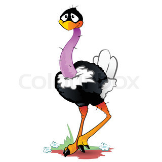 320x320 Funny Ostrich Cartoon Stock Vector Colourbox