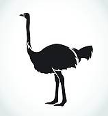 158x170 Ostrich Clip Art