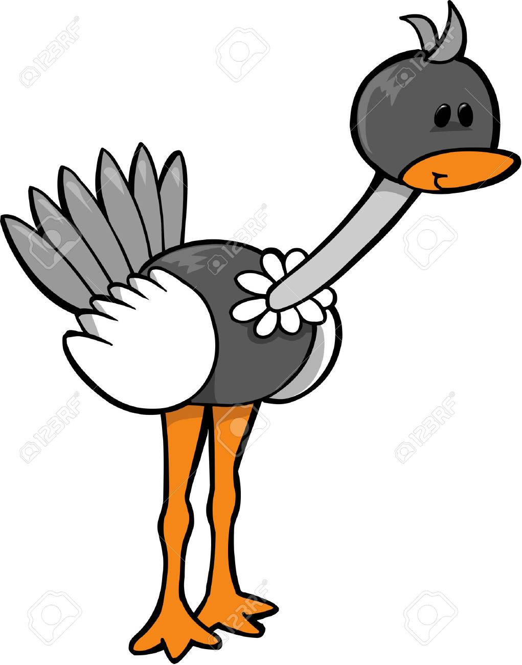 1021x1300 Ostrich Vector Illustration Royalty Free Cliparts, Vectors,