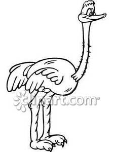 225x300 Ostrich Clipart Black And White