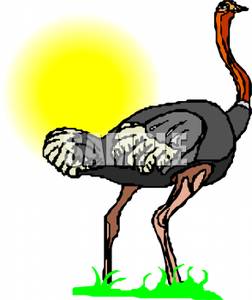 252x300 Ostrich On A Sunny Day Clip Art Image