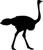 144x170 Royalty Free Ostrich Feather Clip Art