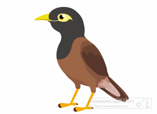 550x400 Search Results For Bird Clipart