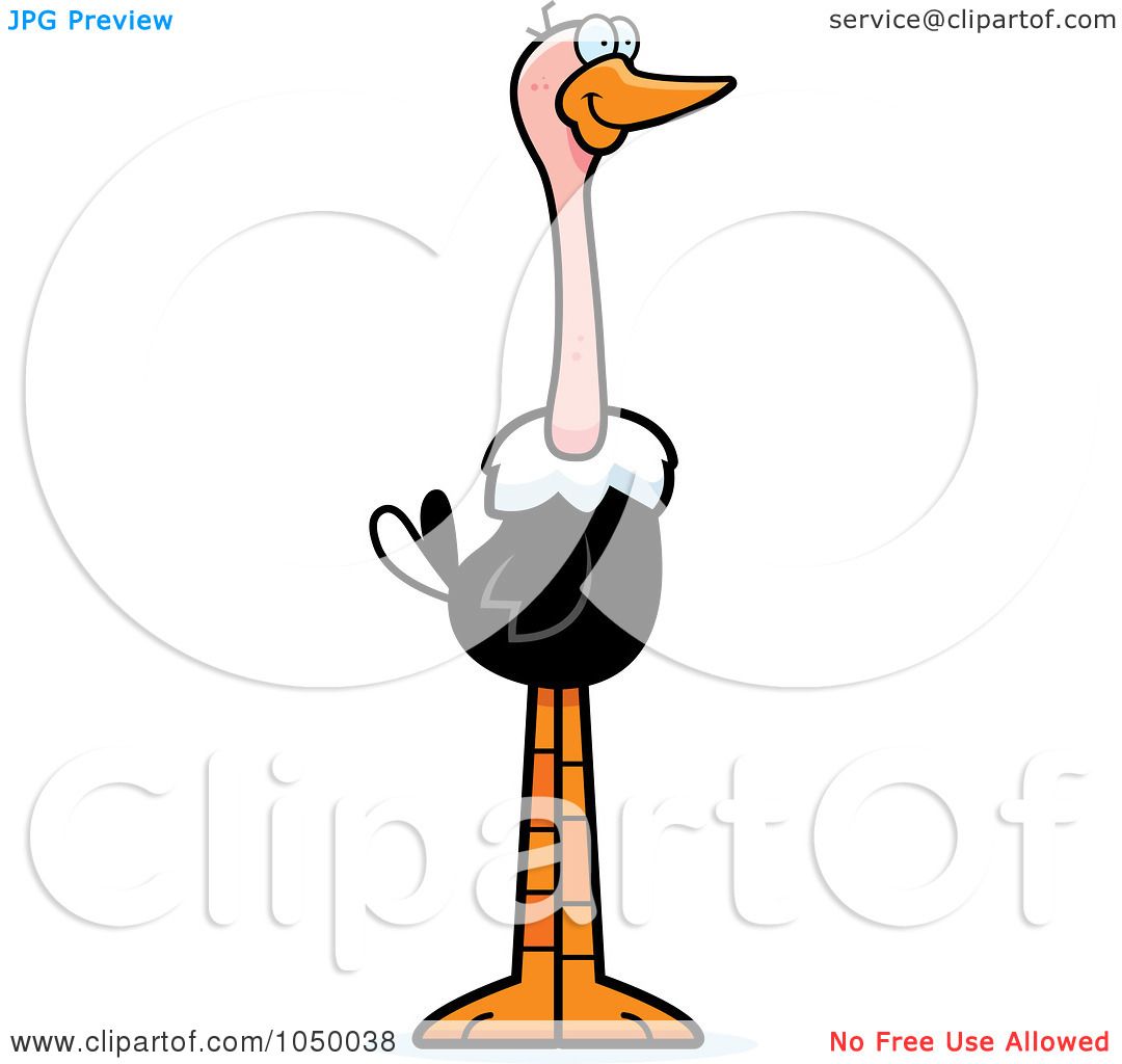 1080x1024 Clipart Ostrich