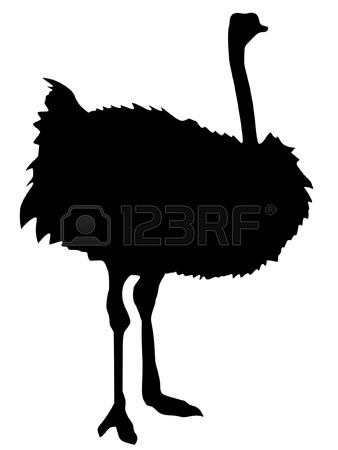 338x450 Hand Drawn, Sketch Illustration Of Ostrich Royalty Free Cliparts