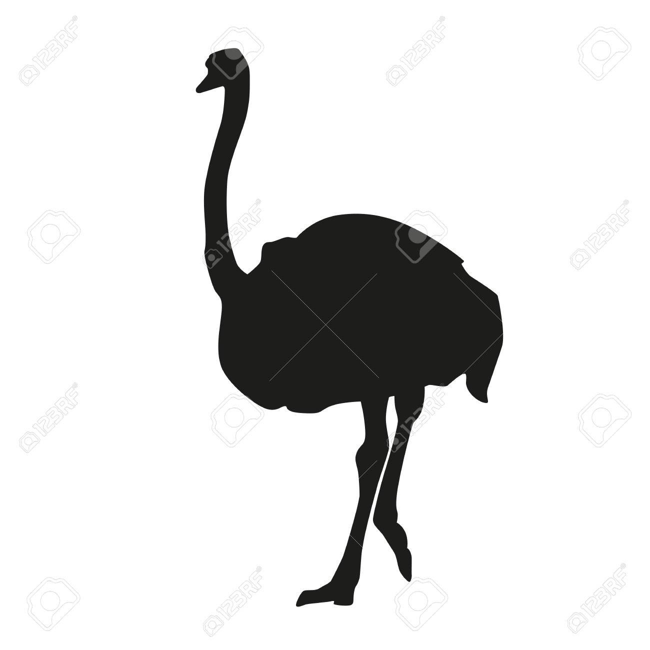 1300x1300 Isolated Ostrich. Vector Silhouette Royalty Free Cliparts, Vectors
