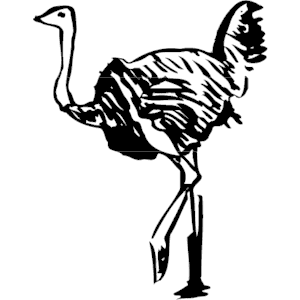 300x300 Ostrich 01 Clipart, Cliparts Of Ostrich 01 Free Download (Wmf, Eps