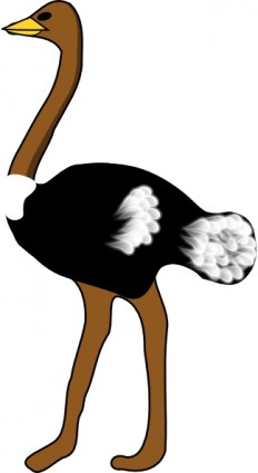 232x425 Ostrich Clip Art Download