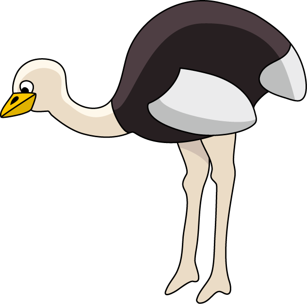 633x627 Ostrich Clipart