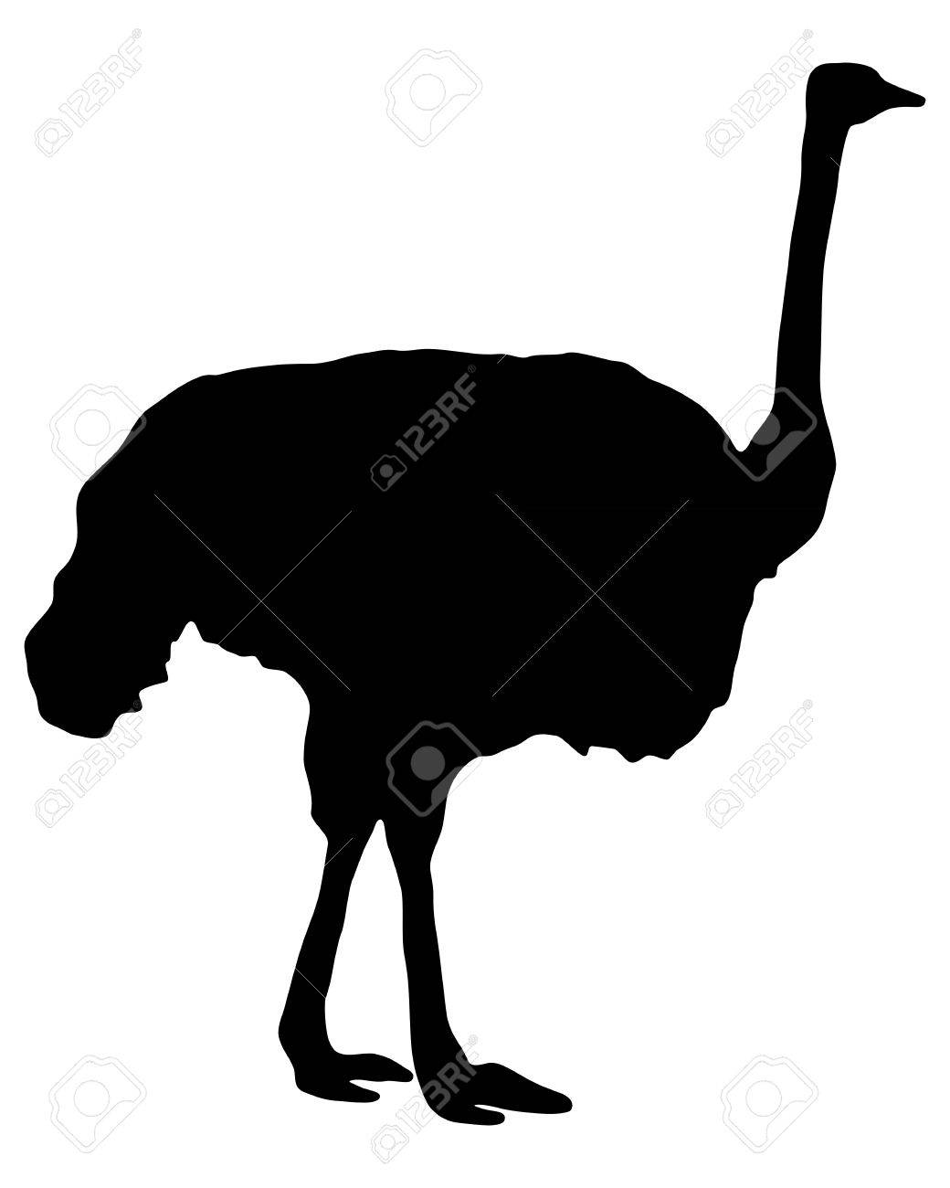 1040x1300 Ostrich Silhouette