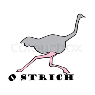 320x320 Ostrich Hiding Head In Sand Stock Vector Colourbox