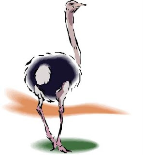 296x320 All Cliparts Ostriches Clipart