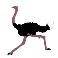 200x200 Top 92 Ostrich Clipart