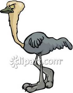 236x300 Cartoon Ostrich
