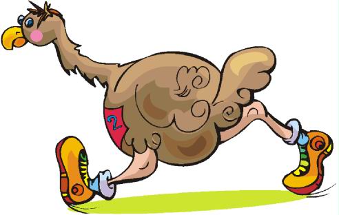 492x312 Clip Art Ostrich