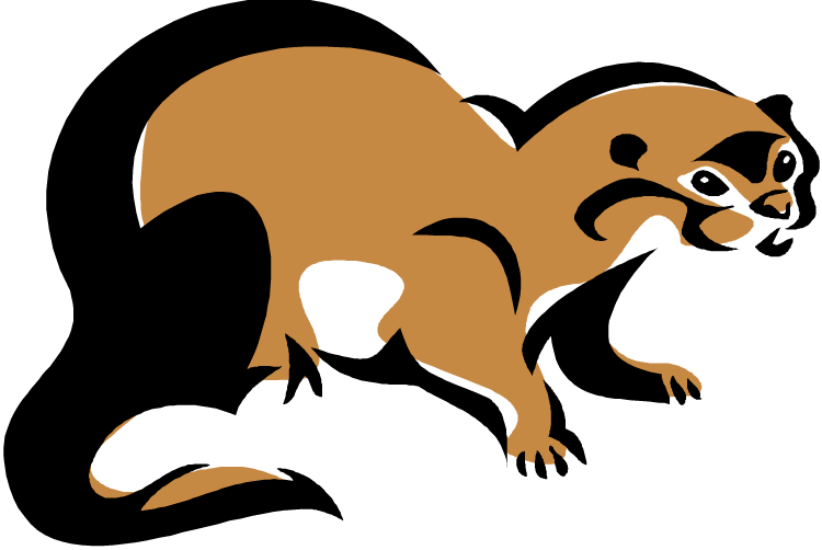 750x502 Drawing Otter Clipart