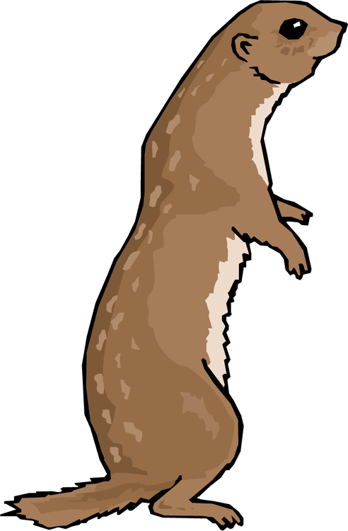 492x750 Funny Otter Cliparts 214515