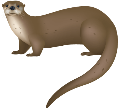 418x382 Otter Clipart River Otter