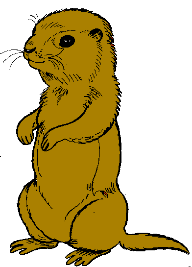 392x545 Best Prairie Dog Clip Art