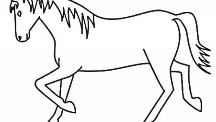 750x425 How To Draw Animals